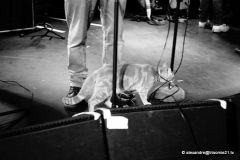 T21 Bordeaux Janvier 2018