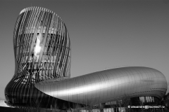 T21 Bordeaux Janvier 2018